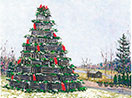 Lobster Trap Christmas Tree, Cape Porpoise, Maine