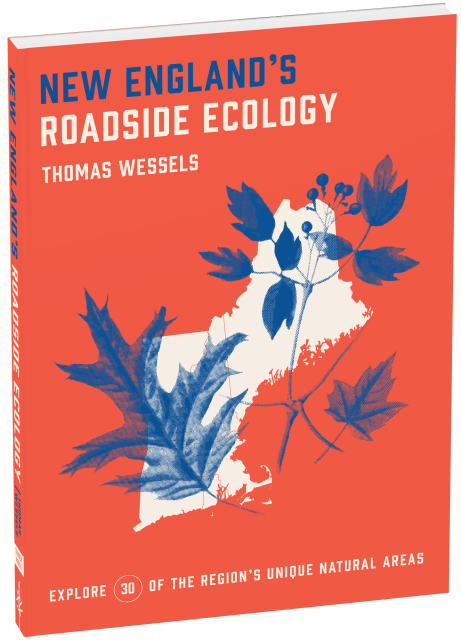 New England’s Roadside Ecology