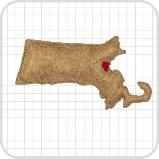 Massachusetts State Sewing Kit