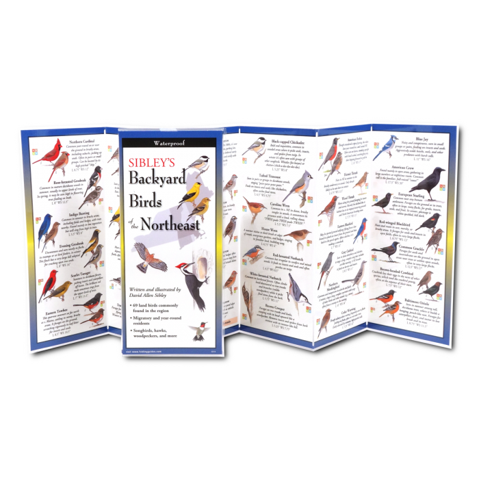 Sibley's Backyard Birds of the Northeast FoldingGuide