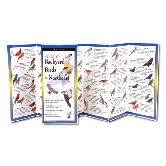 Sibley's Backyard Birds of the Northeast FoldingGuide