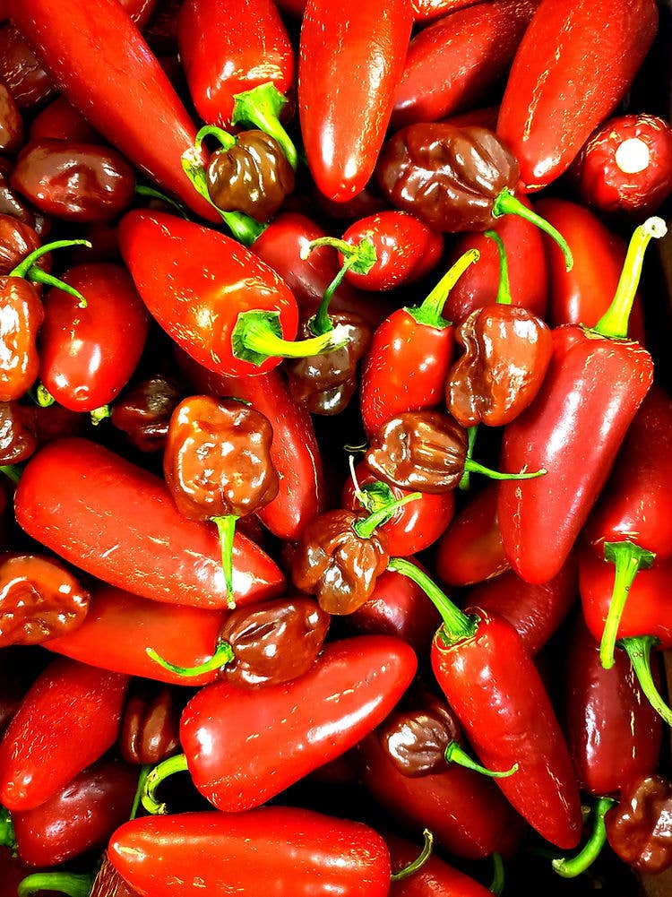 Rhed’s Original Hot Sauce