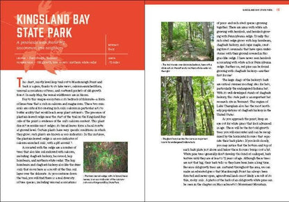 New England’s Roadside Ecology