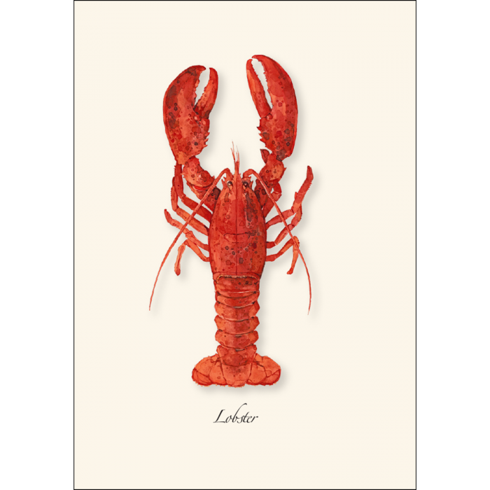 Lobster Assortment