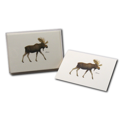 Moose Notecard Set, Recycled Paper, 8 Cards