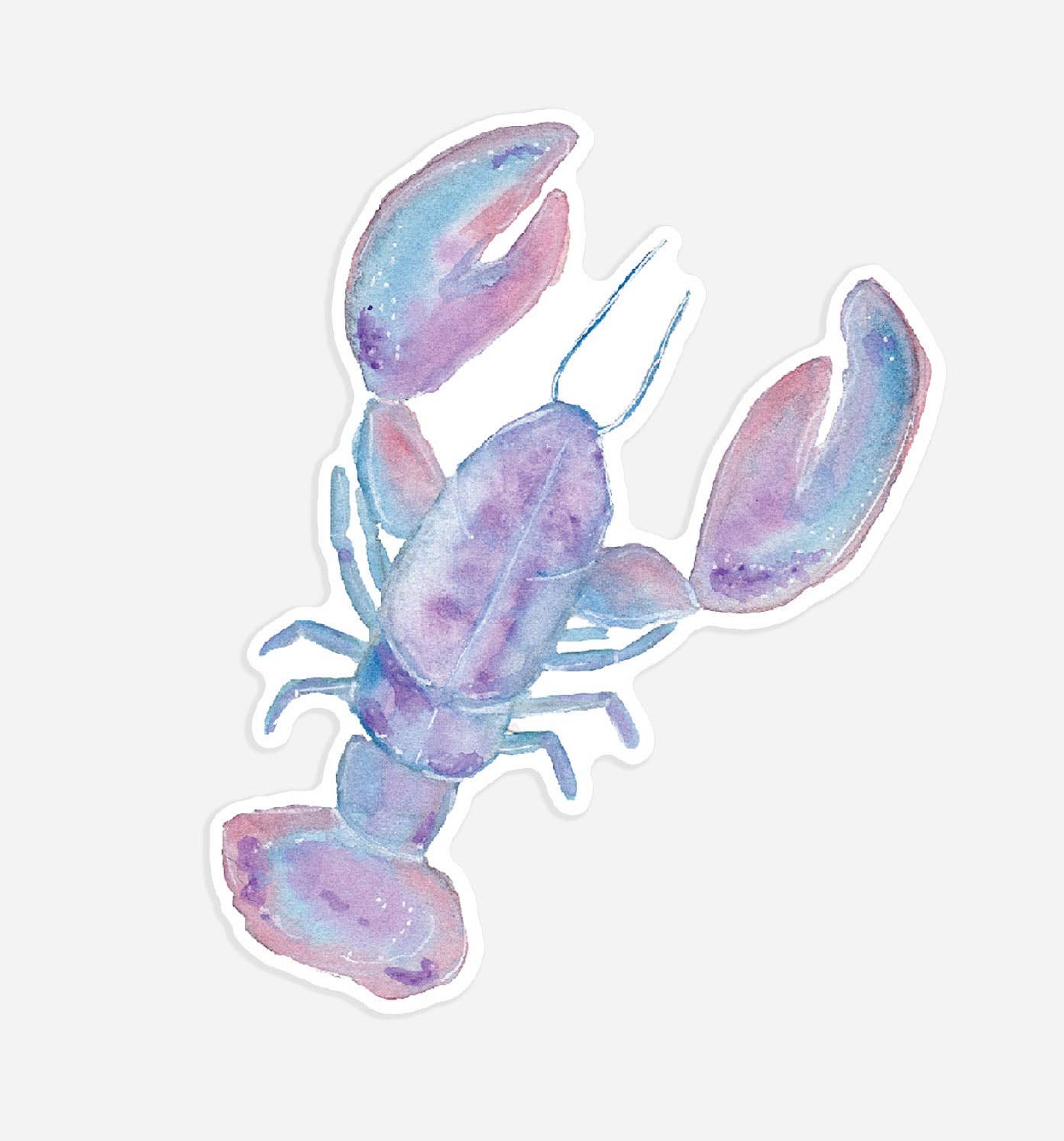Cotton Candy Lobster Sticker