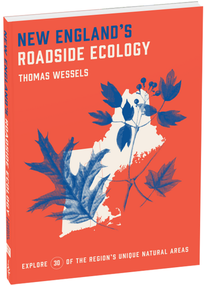 New England’s Roadside Ecology