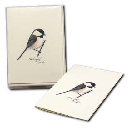 Black-capped Chickadee