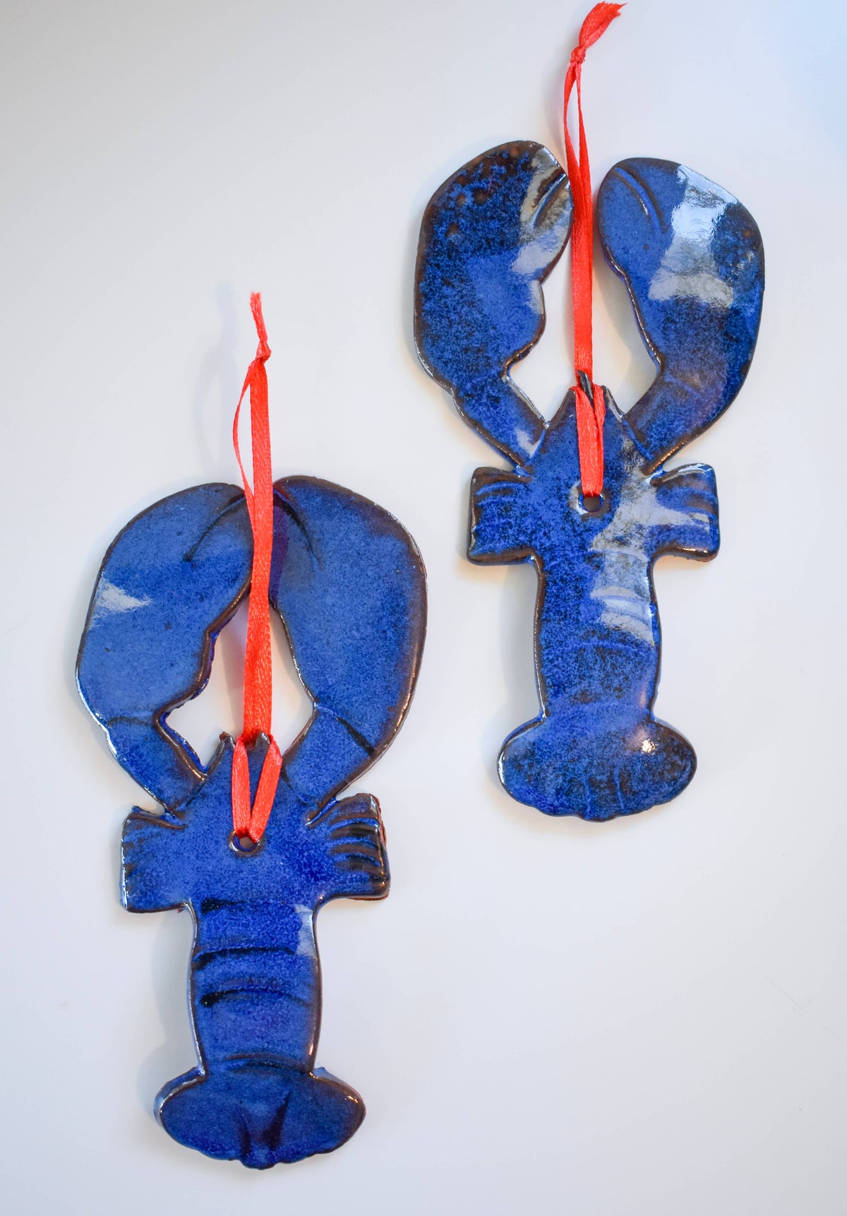 Maine Blue Lobster