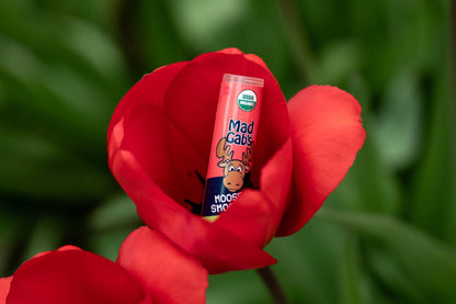 Organic Moose Smooch Watermelon Ice Lip Balm