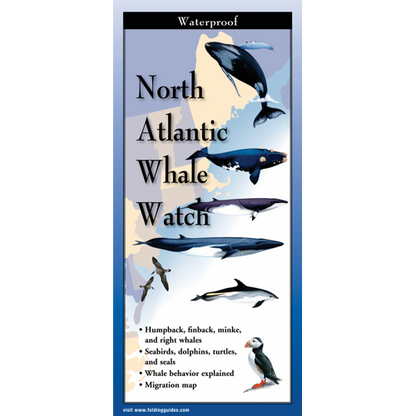 North Atlantic Whale Watch