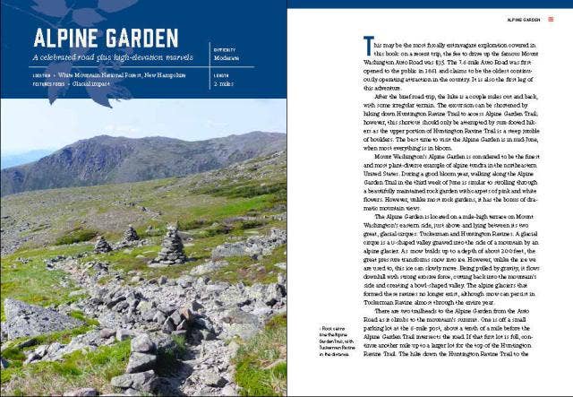 New England’s Roadside Ecology