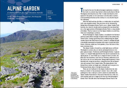 New England’s Roadside Ecology