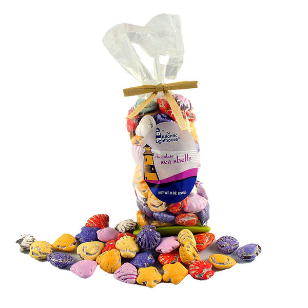 Milk Chocolate Sea Shells – Massachusetts Bay Trading Co