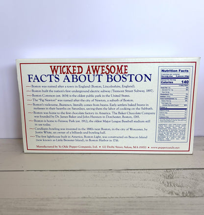 Wicked Awesome 14 Ounce Salt Water Taffy