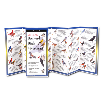 Sibley's Backyard Birds of the Northeast FoldingGuide