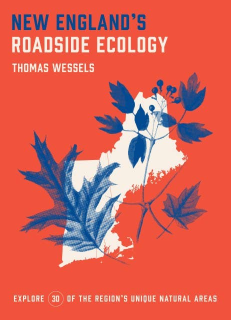 New England’s Roadside Ecology