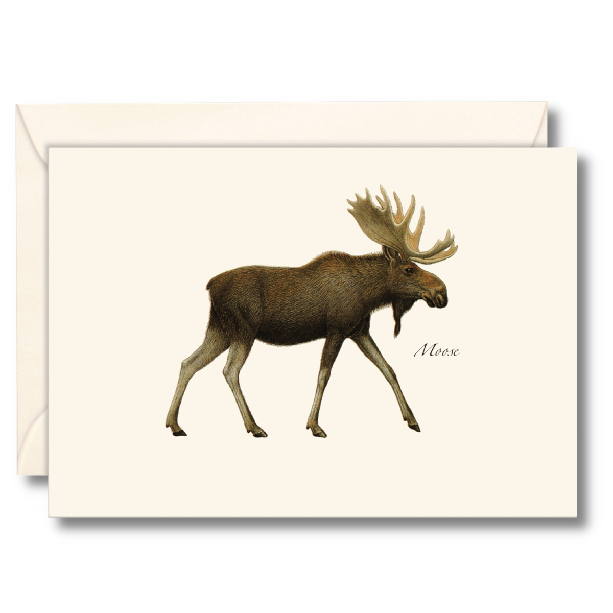 Moose Notecard Set, Recycled Paper, 8 Cards