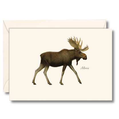 Moose Notecard Set, Recycled Paper, 8 Cards