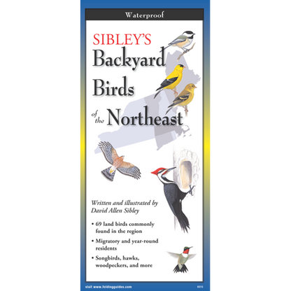 Sibley's Backyard Birds of the Northeast FoldingGuide