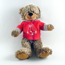 Red Sox Hoodie Bear